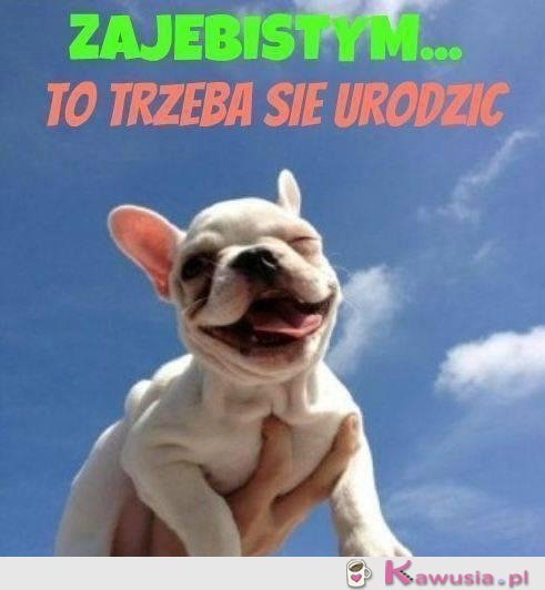 Takim trzeba się urodzić