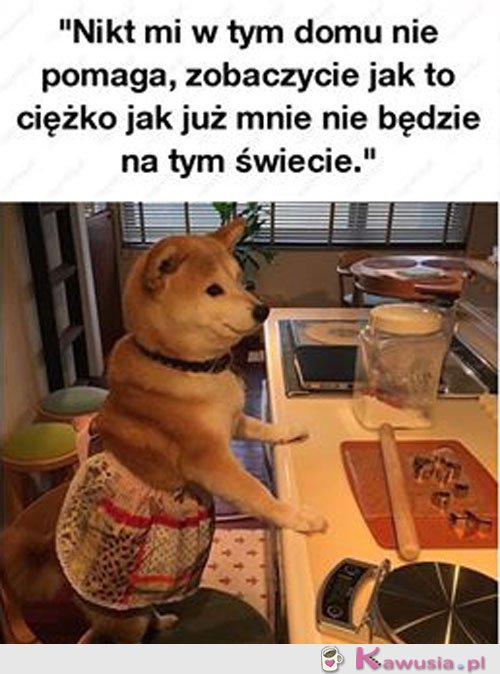 Czemu nikt mi nie pomaga