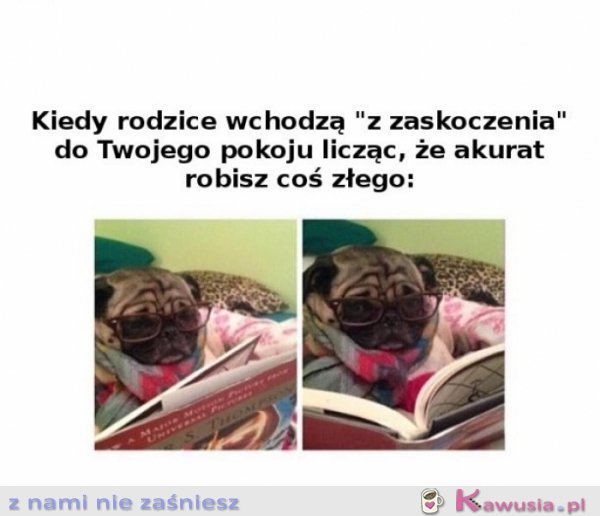 Ja przecież nie robię nic złego
