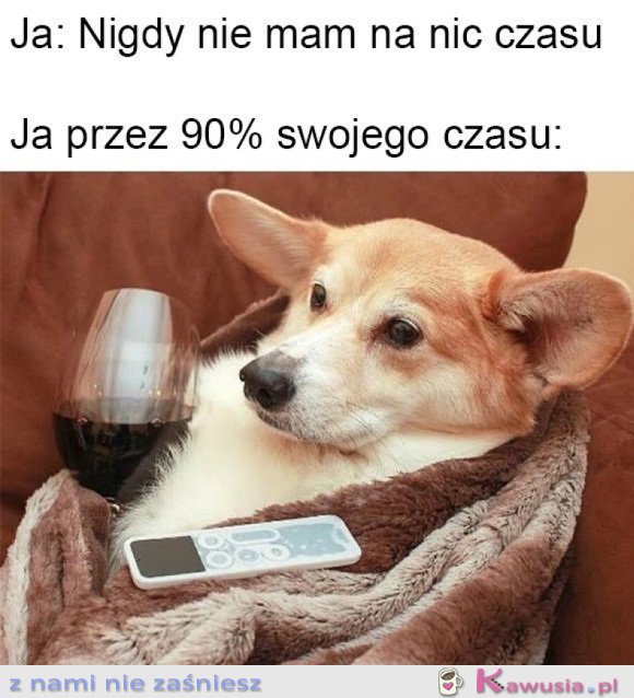 MOJE ŻYCIE