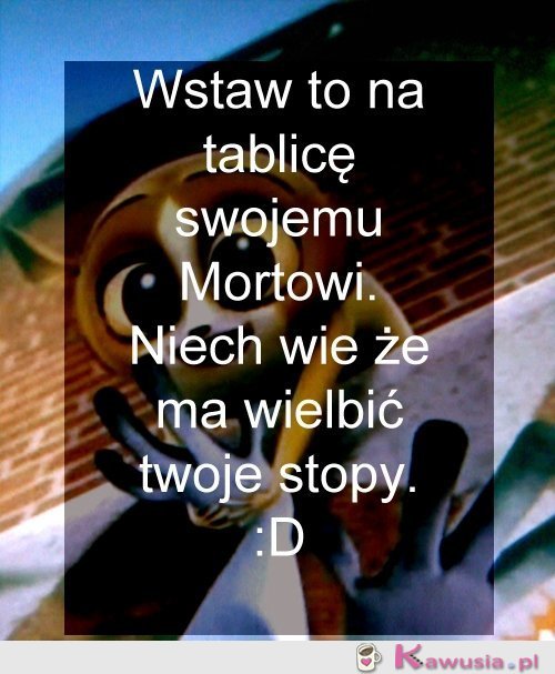 Wielb moje stopy ;)