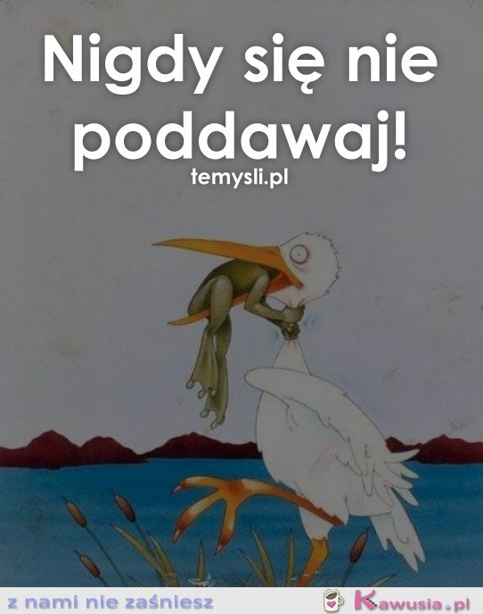 Nigdy się nie poddawaj