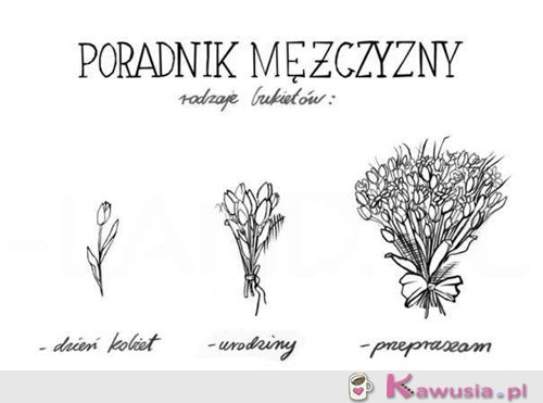 Poradnik dla mężczyzn