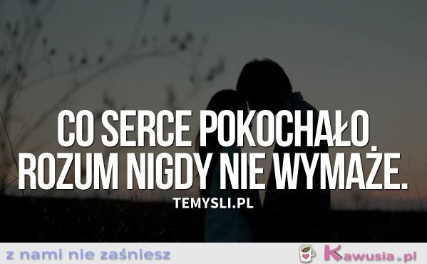 Co serce pokochało