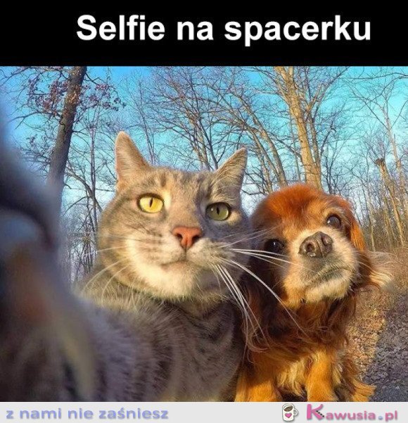 SŁODKIE SELFIE