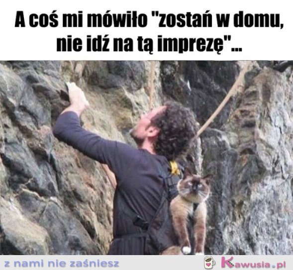 Trzeba było słuchać intuicji...