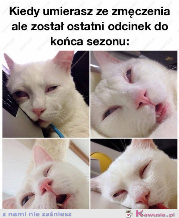 Dam radę, jestem twarda