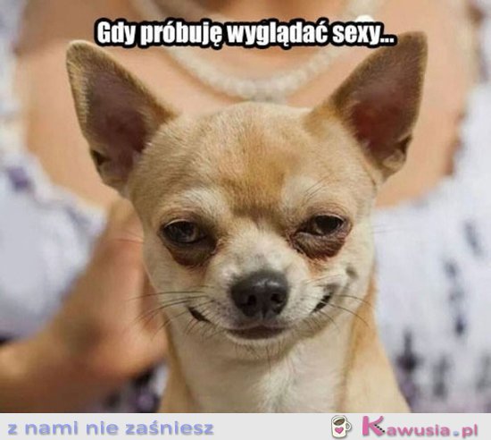 Coś poszło nie tak...