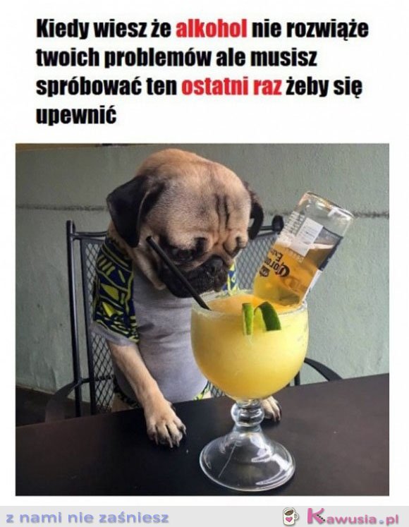 Muszę sprawdzić ten ostatni raz