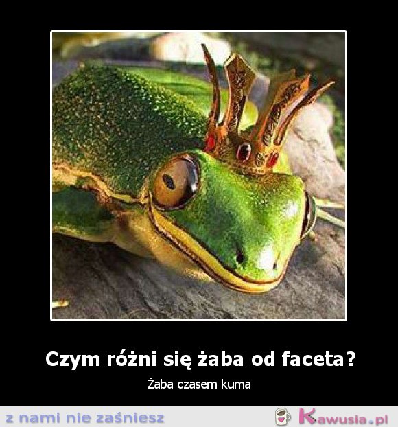 Czym różni się żaba od..?