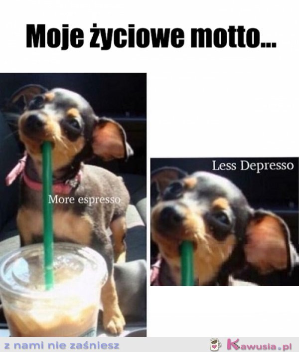 I do przodu...