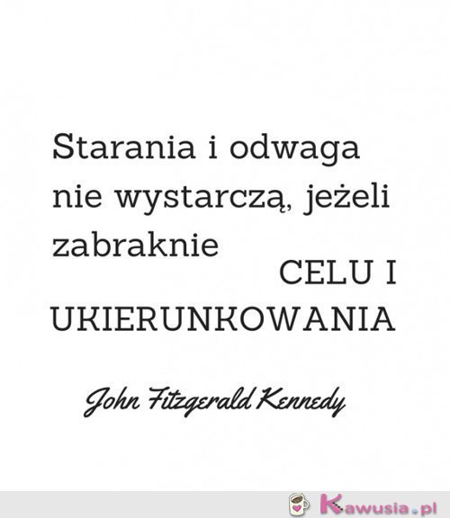 Starania i odwaga...