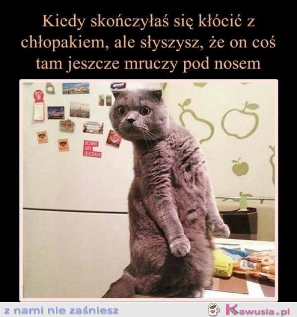 Koniec, powiedziałam koniec
