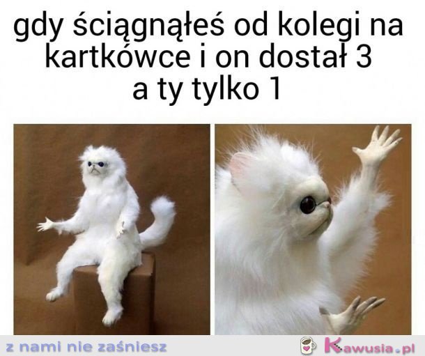 NIE OGARNIAM