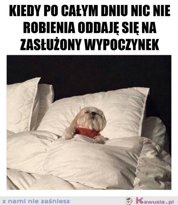 ZASŁUŻONY ODPOCZYNEK