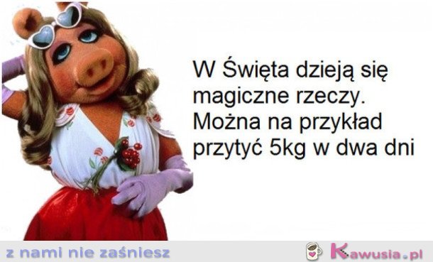 MAGIA ŚWIĄT