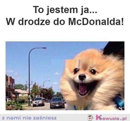 Ja w drodze do maka