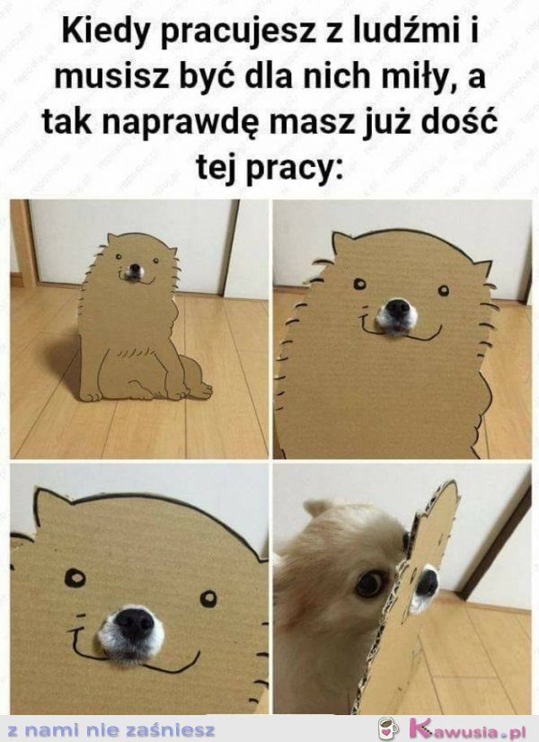 Kiedy pracujesz z ludźmi 
