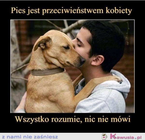 Pies jest przeciwieństwem kobiety