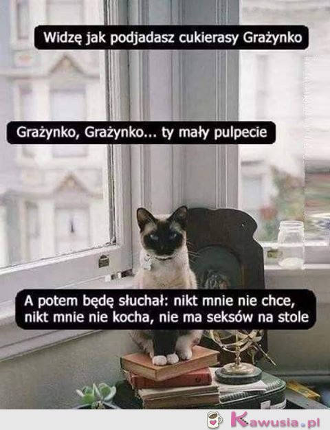 Ojjj Grażyna, Grażyna