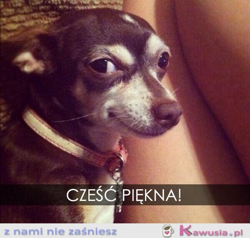 Cześć piękna