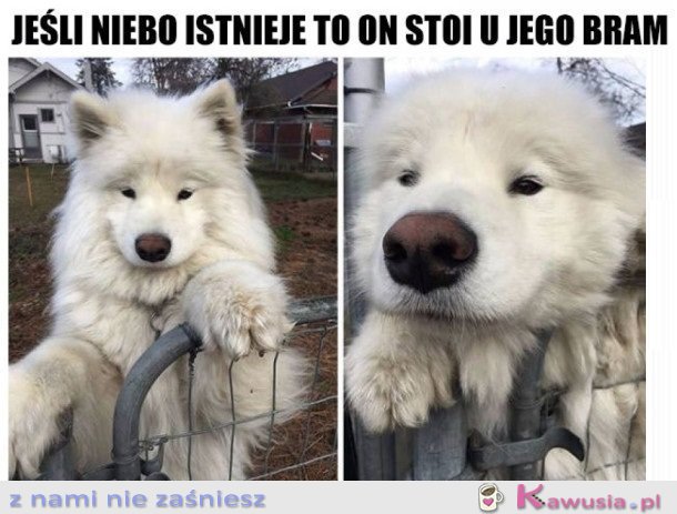 JAKI ANIOŁEK