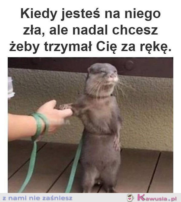 Kiedy jesteś na niego zła, ale...