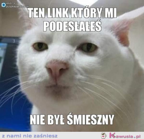 Ten link, który mi podesłałeś...