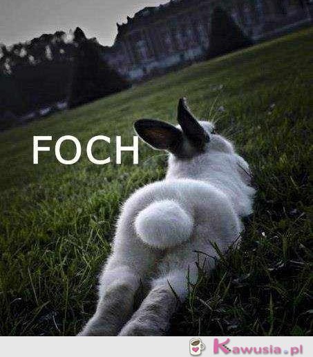 Foch  