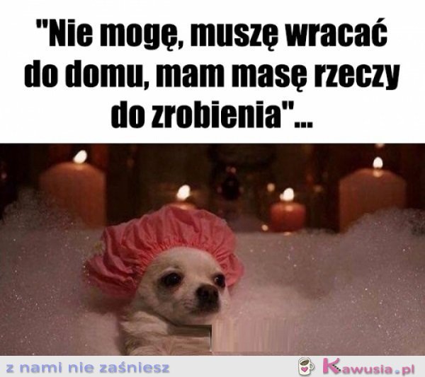 Tyle do zrobienia...