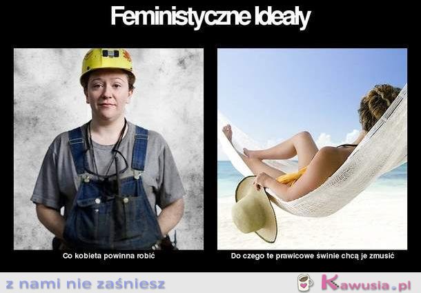 Feministyczne ideały