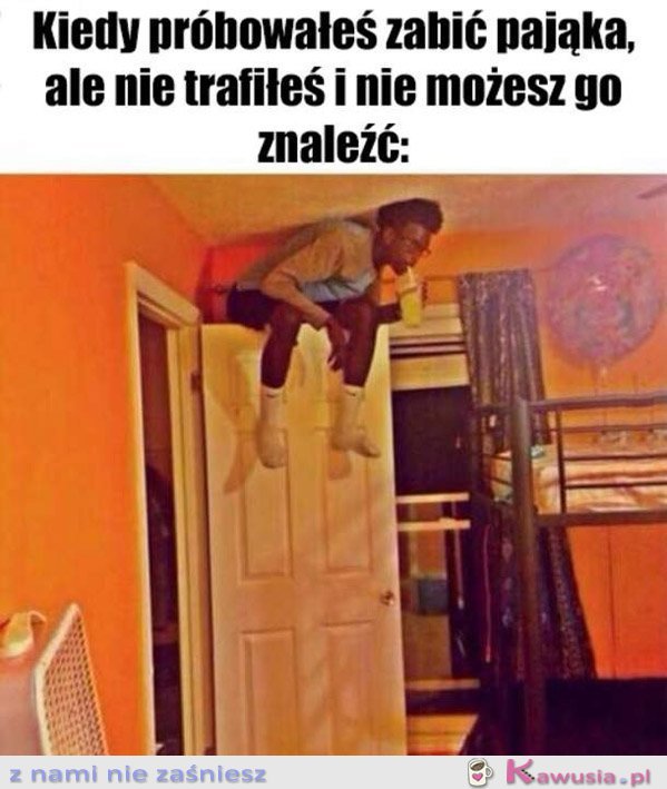 Pająk