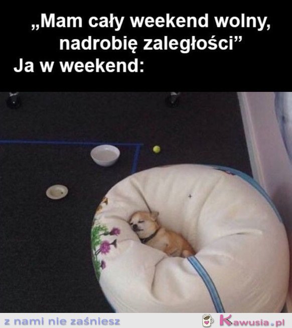 ZA KAŻDYM RAZEM...