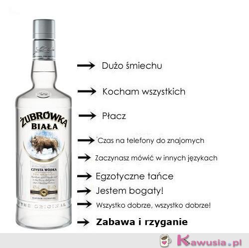 Stadia upojenia alkoholowego