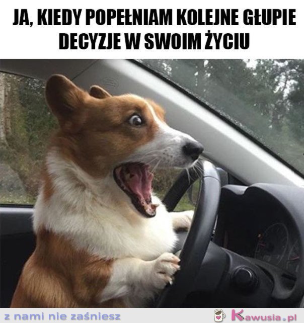 KOLEJNE GŁUPIE DECYZJE