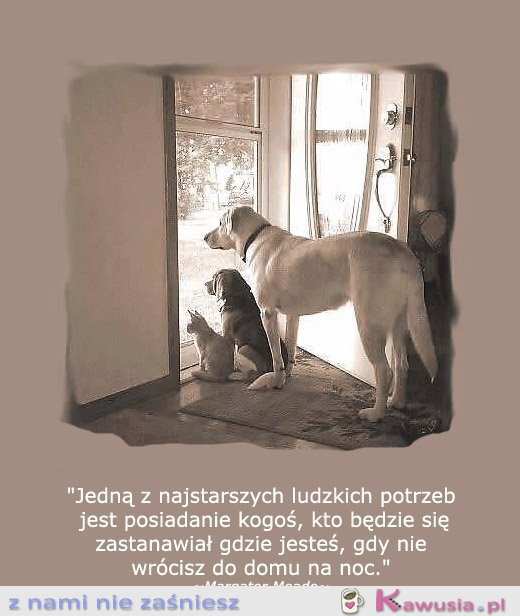 Jedną z najstarszych ludzkich potrzeb