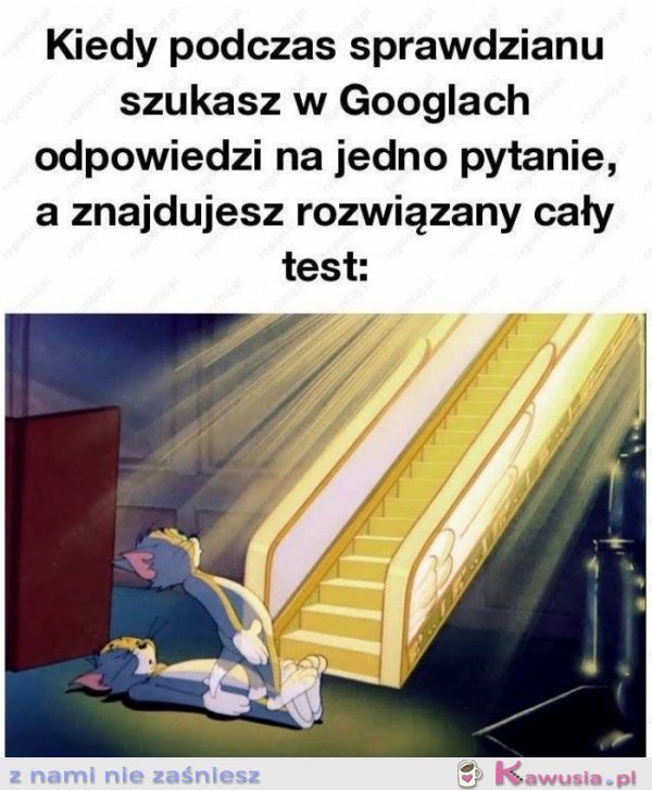 Widzę światło