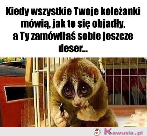 Cóż ja poradzę...