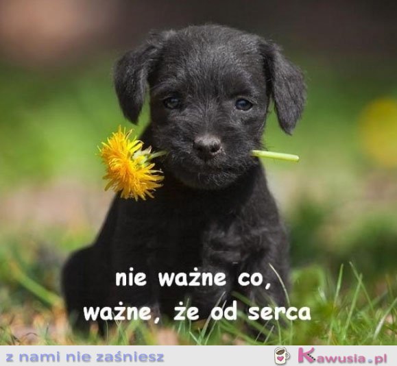 Nie ważne co