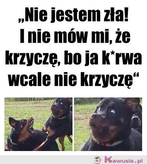 Jestem oazą spokoju