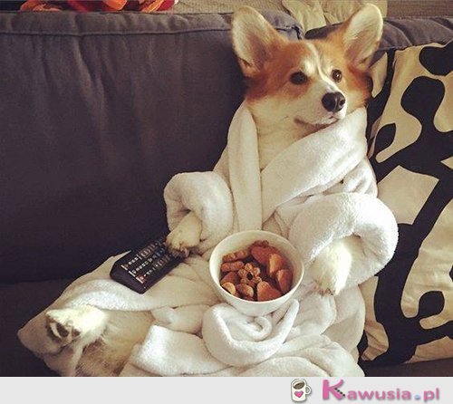 Plany na weekend...