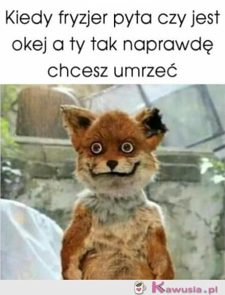 Niech mnie ktoś zabije...