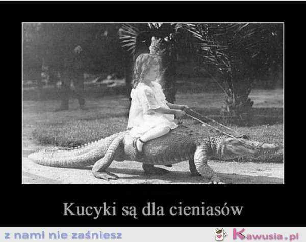 Kucyki są dla cieniasów