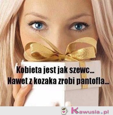 Kobieta jest jak szewc