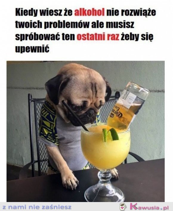 Muszę sprawdzić ten ostatni raz