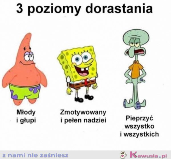 3 poziomy dorastania