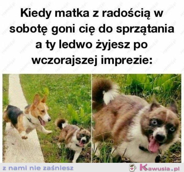 TO UCZUCIE