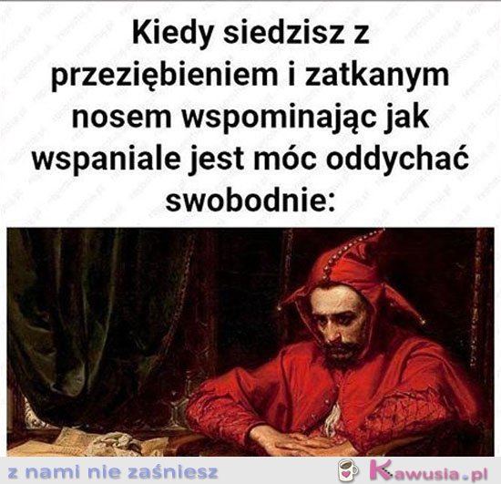 Kiedy siedzisz z przeziębieniem i katarem