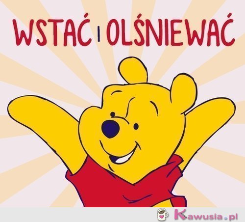 Plan na dziś