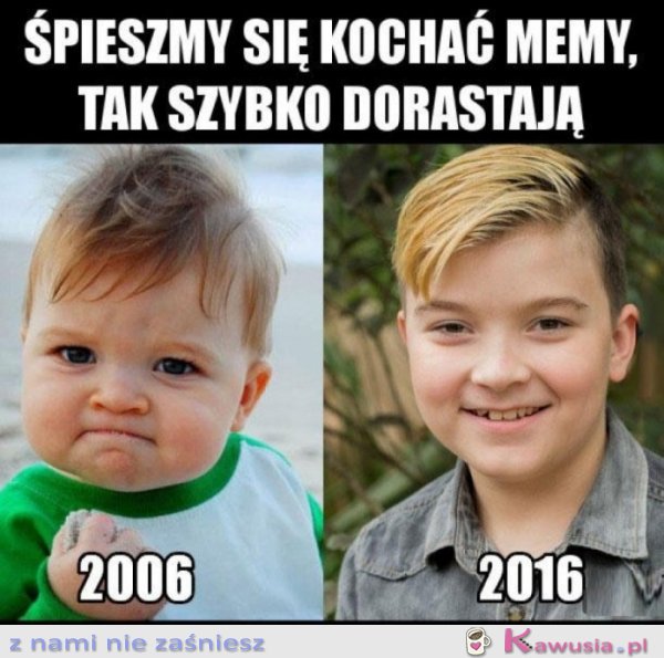 Spieszmy się kochać memy